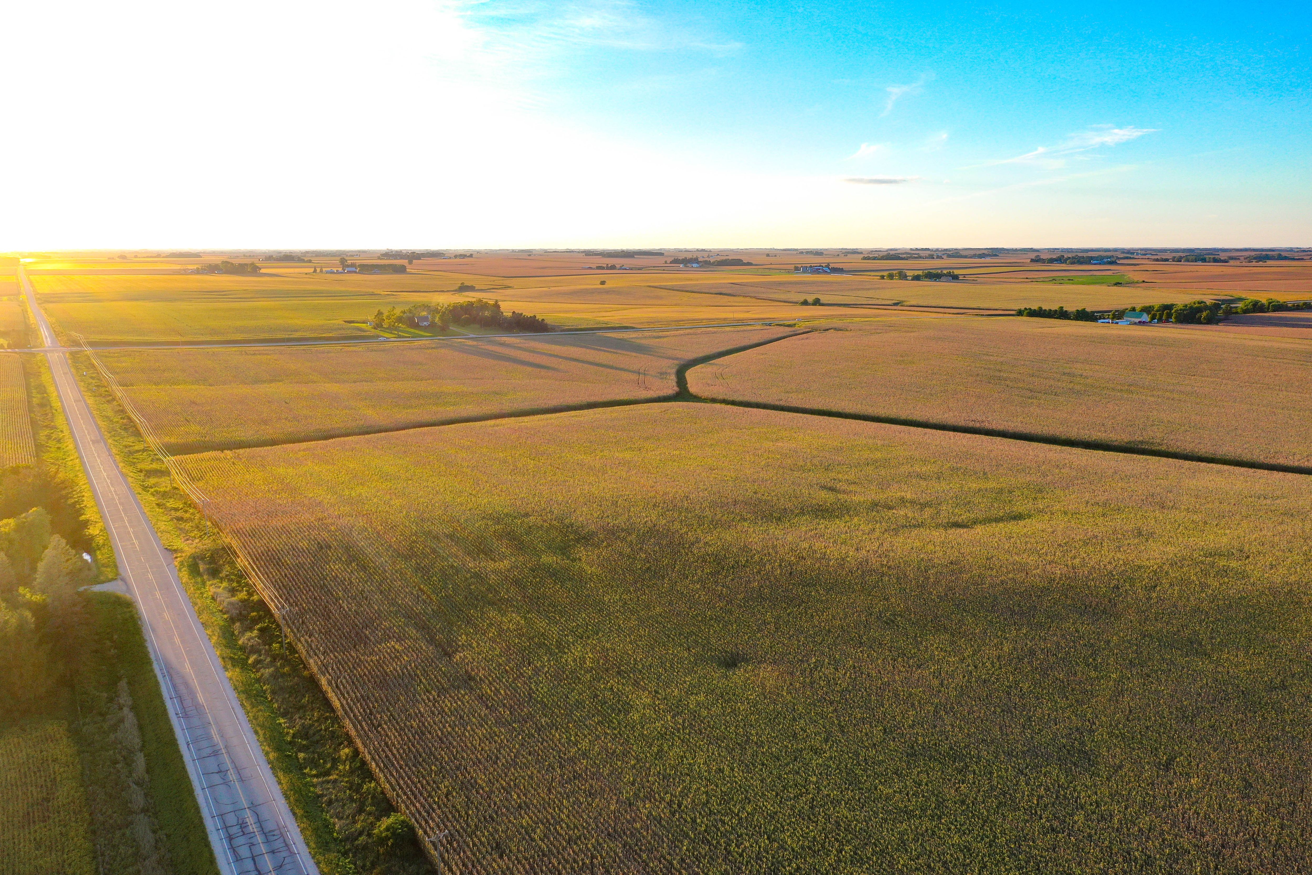 Listing Photo: 9-Butler Co IA Farmland Auction